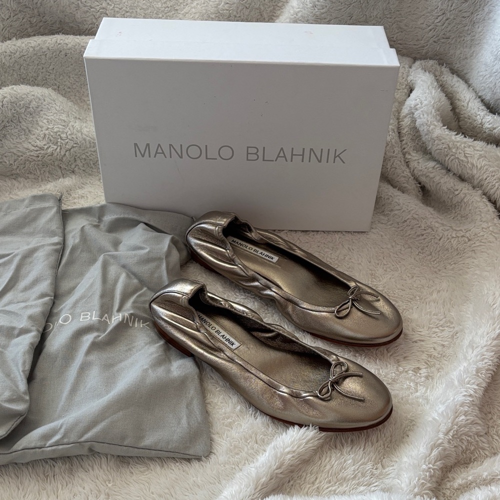 Manolo Blahnik Metallic Pewter Ballet Flats